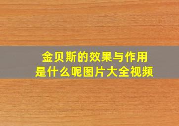 金贝斯的效果与作用是什么呢图片大全视频