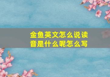 金鱼英文怎么说读音是什么呢怎么写