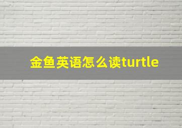 金鱼英语怎么读turtle