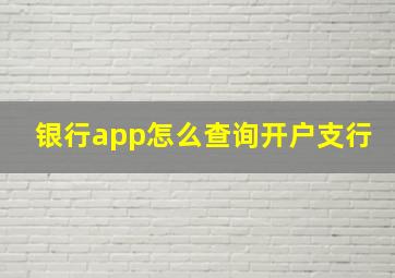 银行app怎么查询开户支行