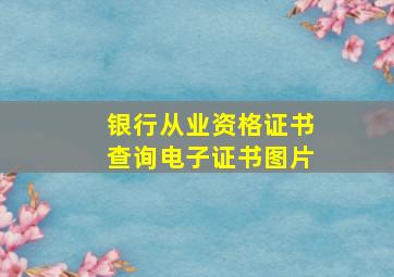 银行从业资格证书查询电子证书图片