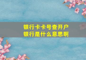 银行卡卡号查开户银行是什么意思啊