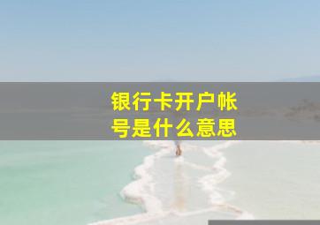 银行卡开户帐号是什么意思