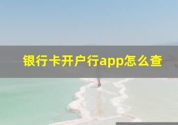 银行卡开户行app怎么查