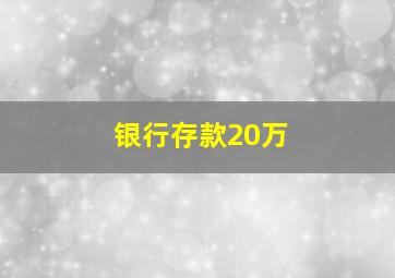 银行存款20万