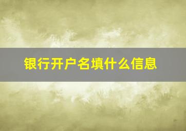 银行开户名填什么信息