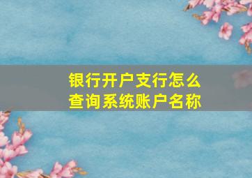 银行开户支行怎么查询系统账户名称