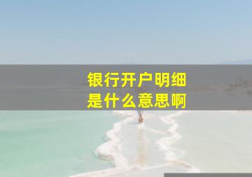 银行开户明细是什么意思啊