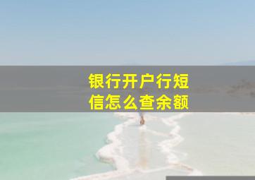 银行开户行短信怎么查余额