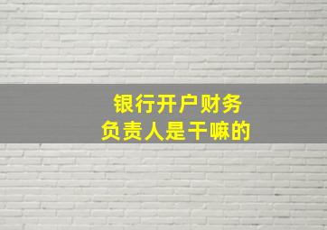 银行开户财务负责人是干嘛的