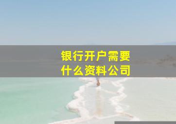 银行开户需要什么资料公司