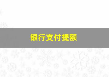 银行支付提额