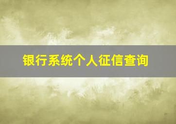 银行系统个人征信查询