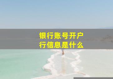 银行账号开户行信息是什么