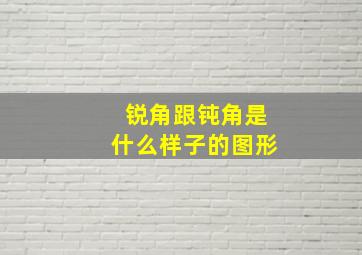 锐角跟钝角是什么样子的图形