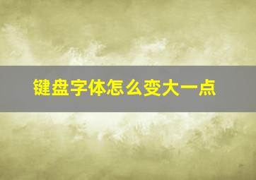 键盘字体怎么变大一点