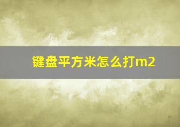 键盘平方米怎么打m2