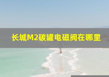 长城M2碳罐电磁阀在哪里