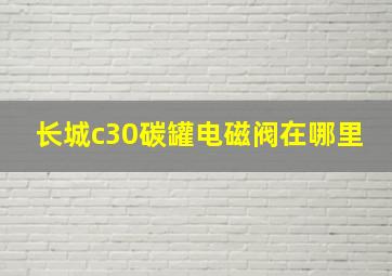 长城c30碳罐电磁阀在哪里