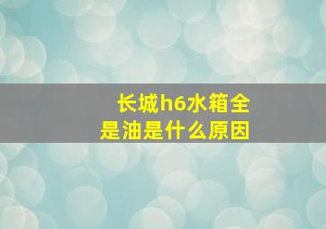 长城h6水箱全是油是什么原因