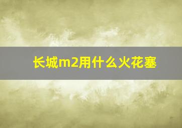 长城m2用什么火花塞