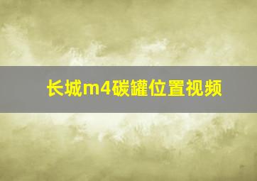 长城m4碳罐位置视频