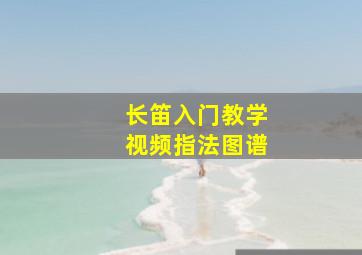 长笛入门教学视频指法图谱