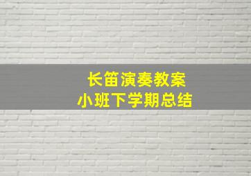 长笛演奏教案小班下学期总结