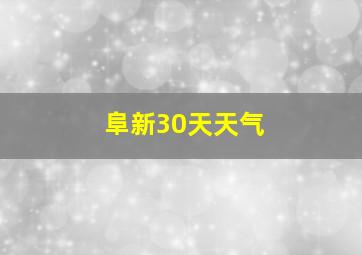 阜新30天天气