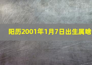 阳历2001年1月7日出生属啥