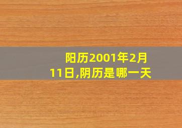 阳历2001年2月11日,阴历是哪一天