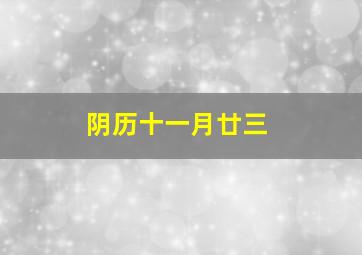 阴历十一月廿三