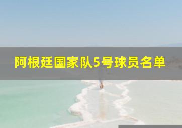 阿根廷国家队5号球员名单