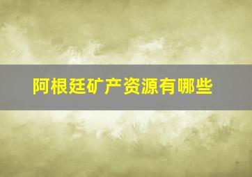 阿根廷矿产资源有哪些