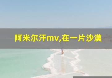 阿米尔汗mv,在一片沙漠