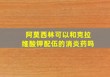 阿莫西林可以和克拉维酸钾配伍的消炎药吗