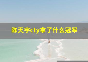 陈天宇cty拿了什么冠军