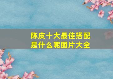 陈皮十大最佳搭配是什么呢图片大全