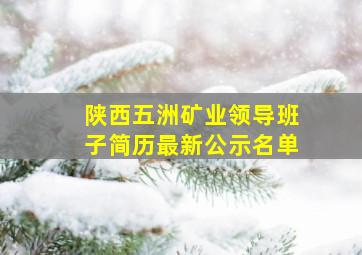 陕西五洲矿业领导班子简历最新公示名单