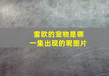 雷欧的宠物是哪一集出现的呢图片