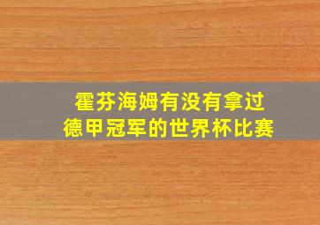 霍芬海姆有没有拿过德甲冠军的世界杯比赛