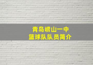 青岛崂山一中篮球队队员简介