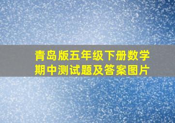 青岛版五年级下册数学期中测试题及答案图片