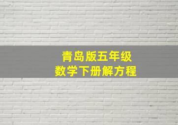 青岛版五年级数学下册解方程