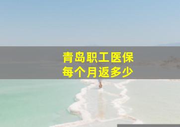 青岛职工医保每个月返多少