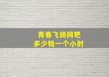 青春飞扬网吧多少钱一个小时