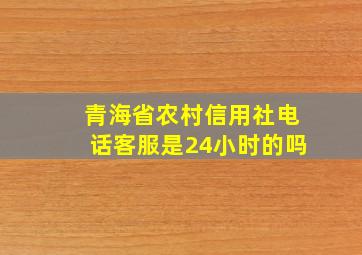 青海省农村信用社电话客服是24小时的吗