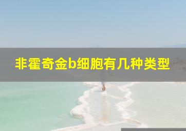 非霍奇金b细胞有几种类型