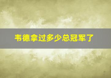 韦德拿过多少总冠军了