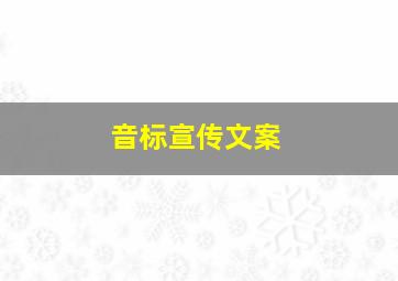 音标宣传文案